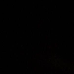 Meet your Posher, Norma